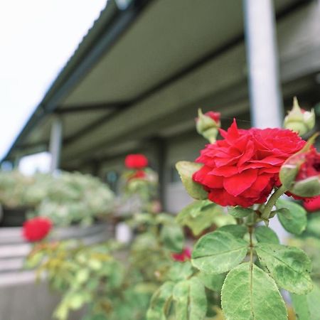 Taitung City-Cottage B&B Exterior photo