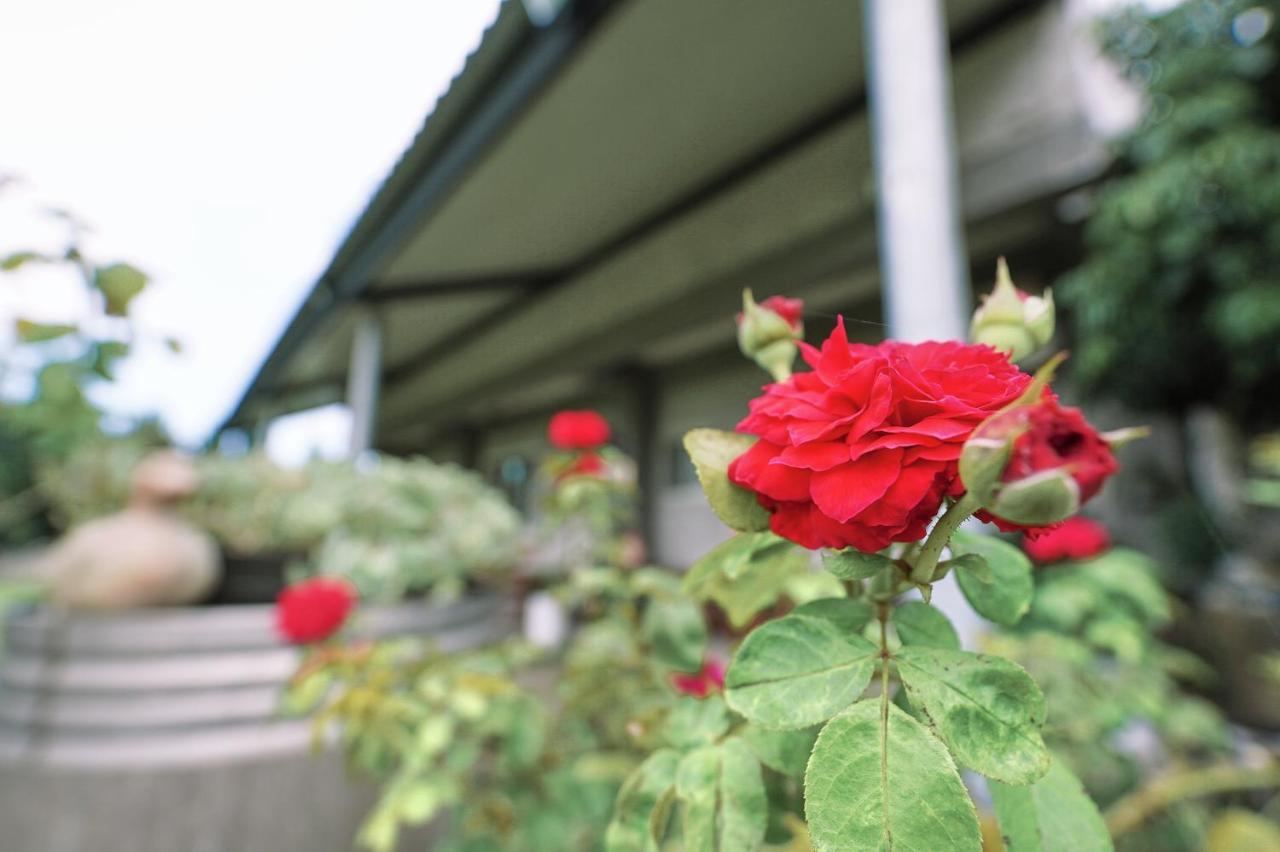 Taitung City-Cottage B&B Exterior photo